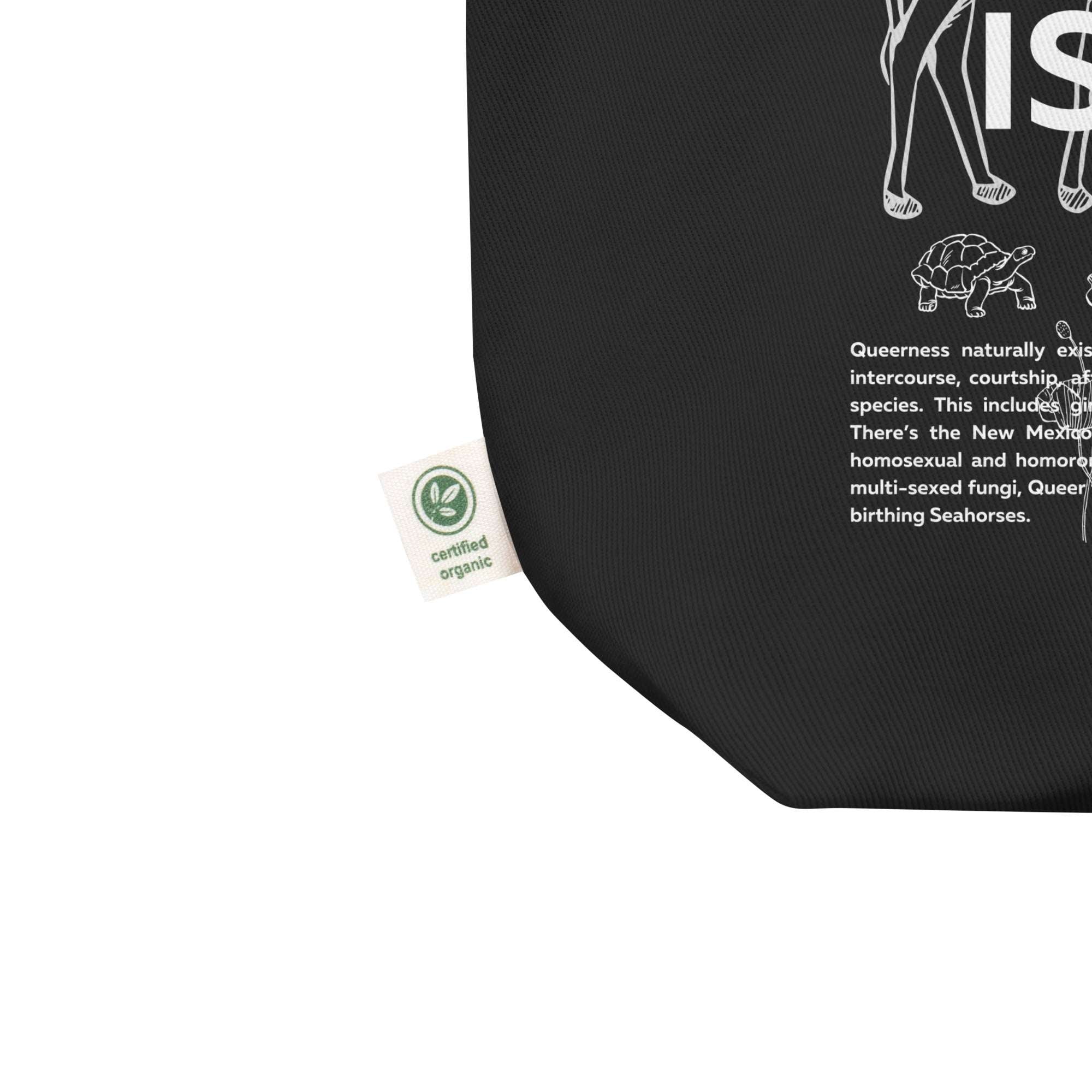 Nature is Queer Bag Pride Accessory Eco Friendly Black Tote Bag Eco Tote