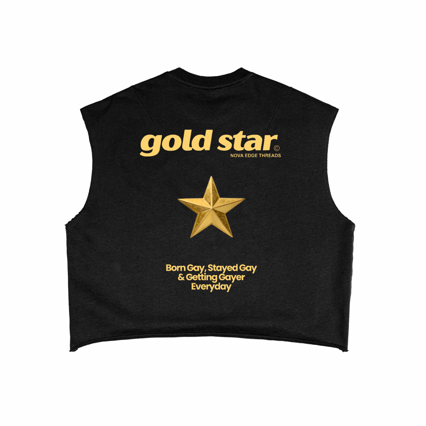 Gold Star Pride Tank Gay Pride Black & Gold French Terry Boxy Tank