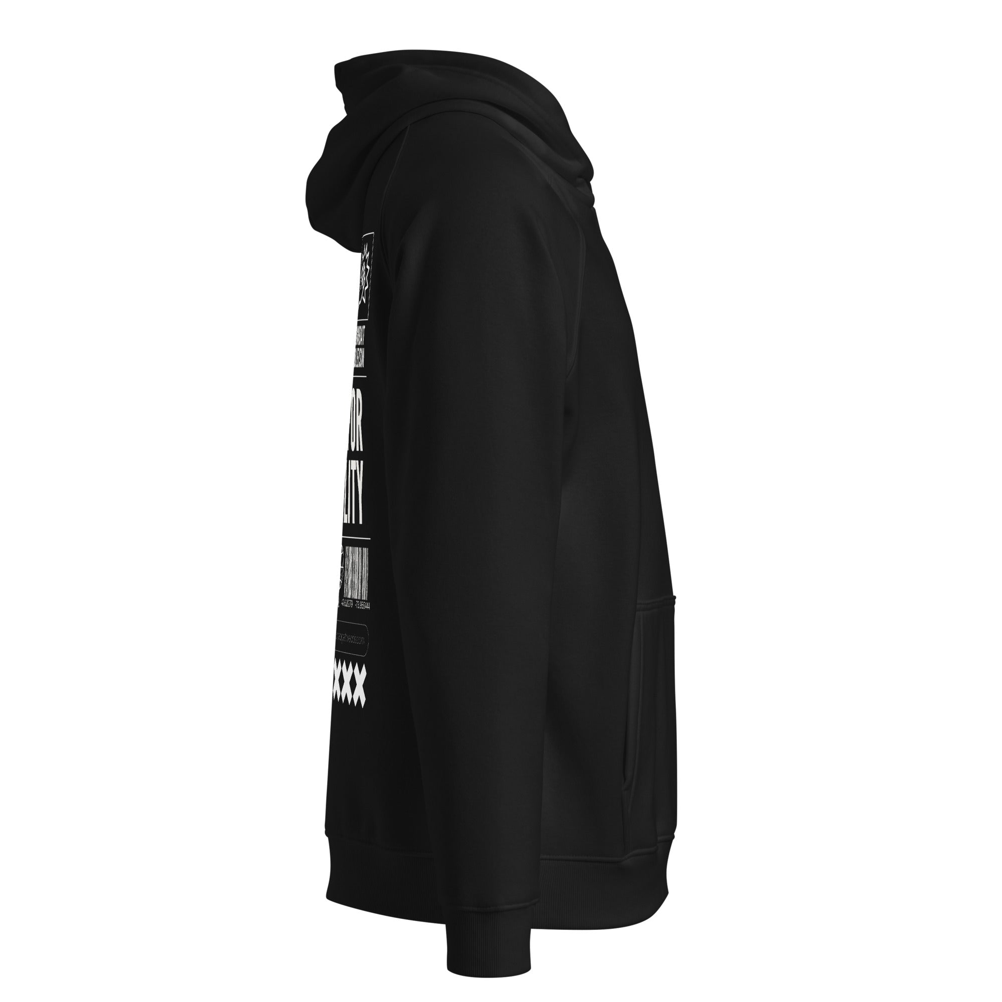 Advocate for Accessibility Graphic Hoodie Black Allyship Sweatshirt Eco Raglan Hoodie Eco Raglan Hoodie