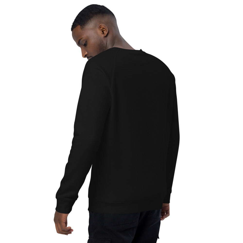 BlaQ Pride Geometric Design Iconic African Culture Colors on Black Organic Cotton Raglan Sweatshirt Organic Raglan Sweatshirt