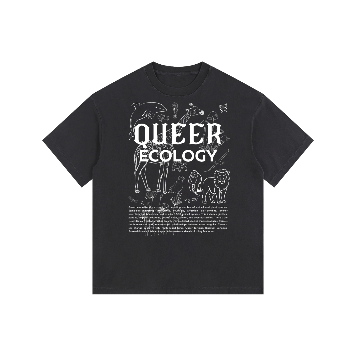 Queer Ecology Size Inclusive Queer Pride T-Shirt Vintage Wash Oversize Tee Vintage Wash Oversize Tee