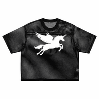 Flying Unicorn Pixelated Bold Print on front of Black See-through Boxy Net T-Shirt See-through Boxy Net T-Shirt