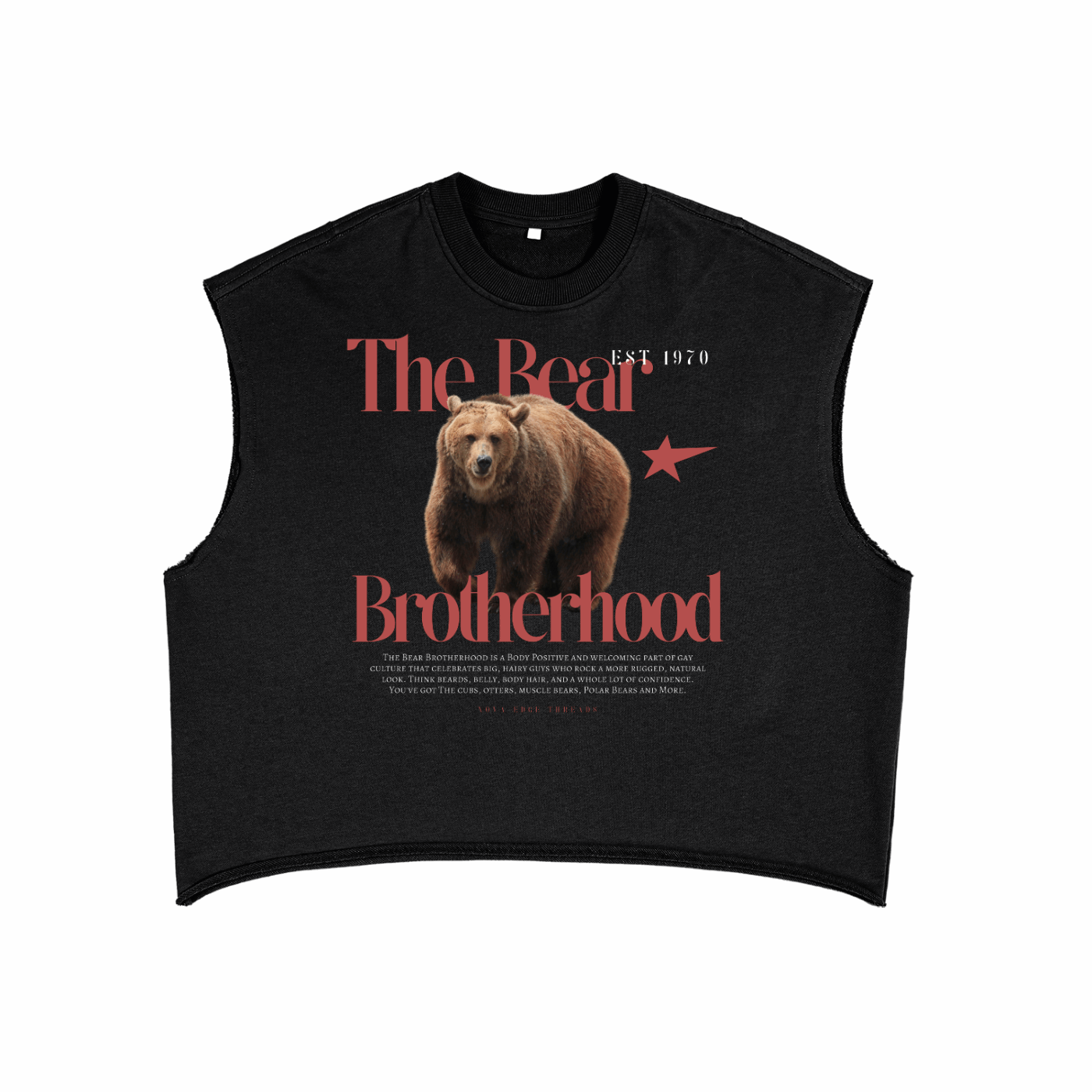 The Bear Brotherhood Graphic Gay Pride Vintage Style on Front of Black French Terry Boxy Tank Top