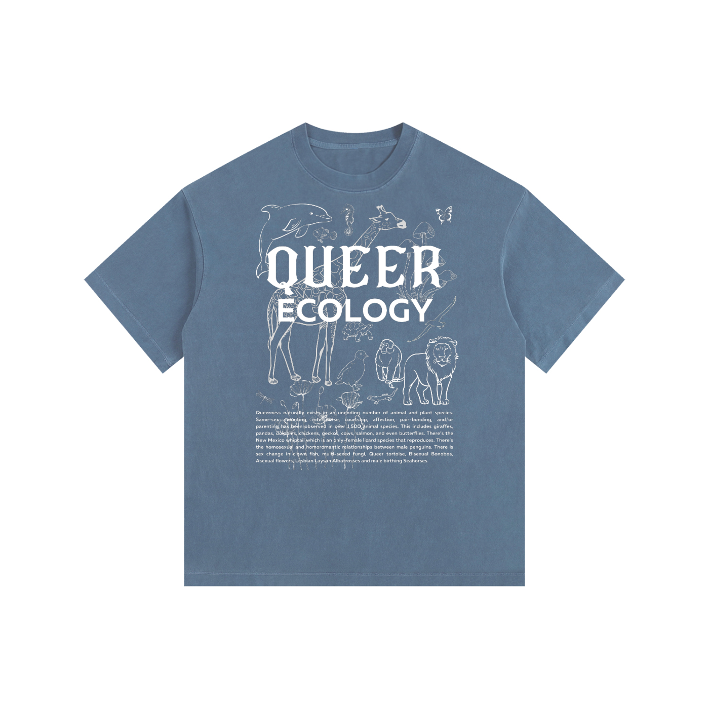 Queer Ecology Size Inclusive Queer Pride T-Shirt Vintage Wash Oversize Tee Vintage Wash Oversize Tee