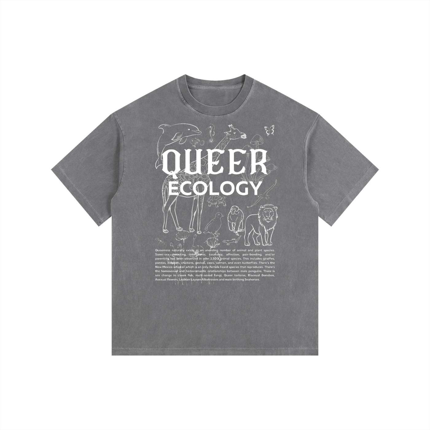 Queer Ecology Size Inclusive Queer Pride T-Shirt Vintage Wash Oversize Tee Vintage Wash Oversize Tee