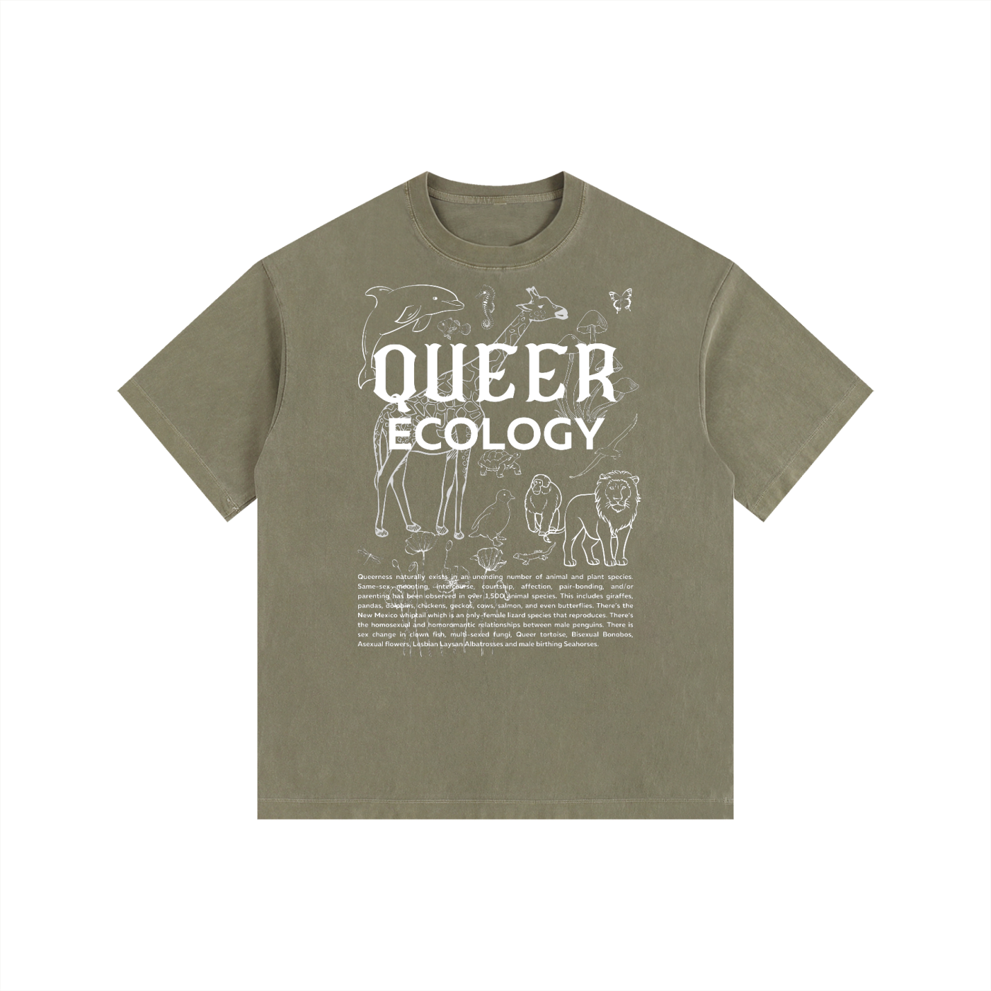 Queer Ecology Size Inclusive Queer Pride T-Shirt Vintage Wash Oversize Tee Vintage Wash Oversize Tee