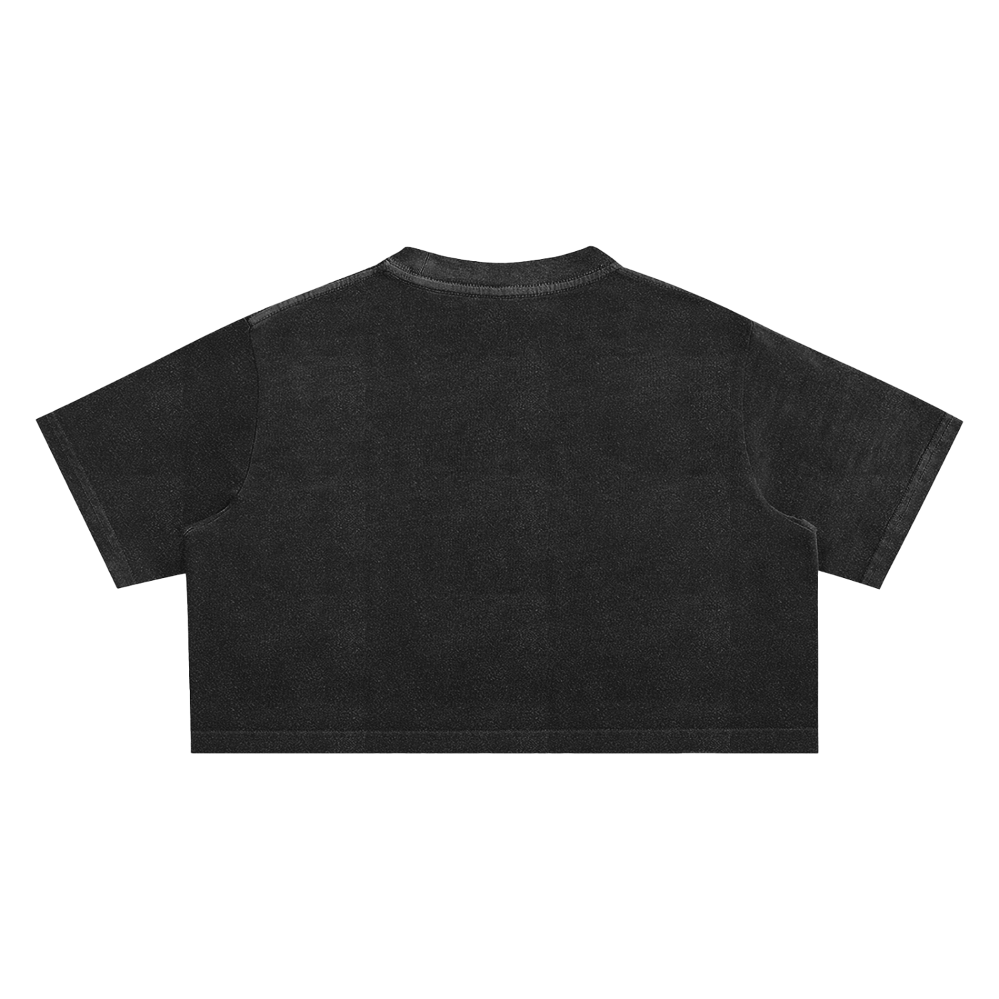 I'm That Villain Minimal Front Design Queer, Trans & Disability Pride Snow Washed Crop Top Snow Washed Crop Top
