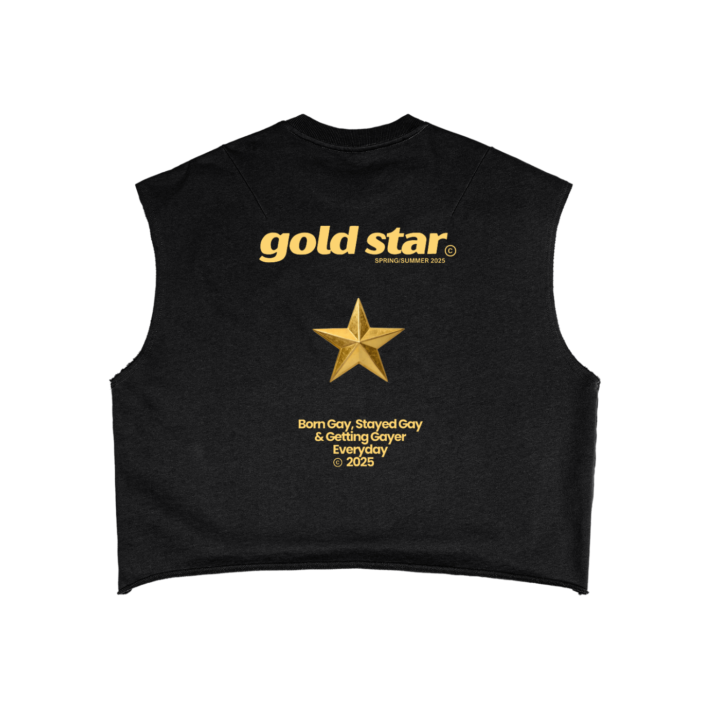 Gold Star Graphic Tank Gay Pride Black French Terry Boxy Tank Top French Terry Boxy Tank Top
