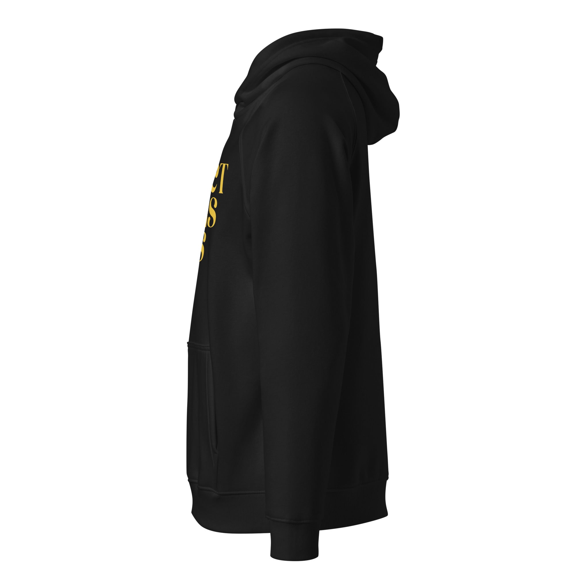 Protect Trans Kids Protest Hoodie Black Eco raglan hoodie Eco Raglan Hoodie